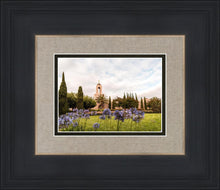 Load image into Gallery viewer, Newport Beach California Blooming Afternoon

