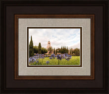 Load image into Gallery viewer, Newport Beach California Blooming Afternoon
