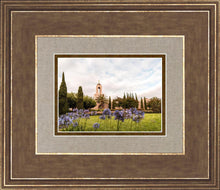 Load image into Gallery viewer, Newport Beach California Blooming Afternoon
