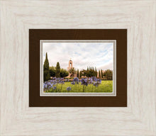 Load image into Gallery viewer, Newport Beach California Blooming Afternoon

