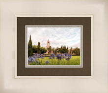 Load image into Gallery viewer, Newport Beach California Blooming Afternoon

