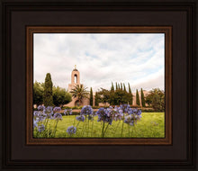 Load image into Gallery viewer, Newport Beach California Blooming Afternoon
