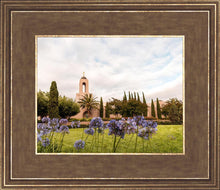 Load image into Gallery viewer, Newport Beach California Blooming Afternoon
