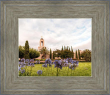 Load image into Gallery viewer, Newport Beach California Blooming Afternoon

