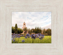 Load image into Gallery viewer, Newport Beach California Blooming Afternoon

