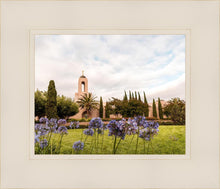 Load image into Gallery viewer, Newport Beach California Blooming Afternoon
