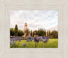 Load image into Gallery viewer, Newport Beach California Blooming Afternoon

