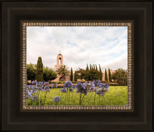 Load image into Gallery viewer, Newport Beach California Blooming Afternoon
