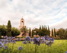 Load image into Gallery viewer, Newport Beach California Blooming Afternoon
