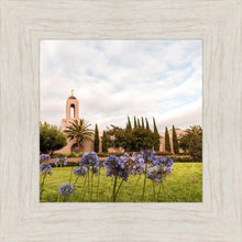Load image into Gallery viewer, Newport Beach California Blooming Afternoon
