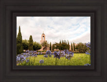 Load image into Gallery viewer, Newport Beach California Blooming Afternoon
