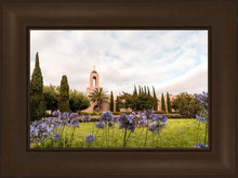 Load image into Gallery viewer, Newport Beach California Blooming Afternoon
