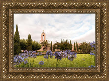 Load image into Gallery viewer, Newport Beach California Blooming Afternoon
