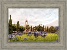 Load image into Gallery viewer, Newport Beach California Blooming Afternoon
