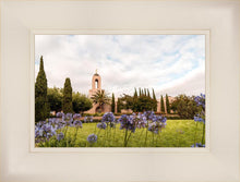 Load image into Gallery viewer, Newport Beach California Blooming Afternoon
