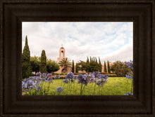 Load image into Gallery viewer, Newport Beach California Blooming Afternoon
