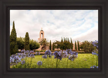 Load image into Gallery viewer, Newport Beach California Blooming Afternoon
