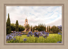 Load image into Gallery viewer, Newport Beach California Blooming Afternoon
