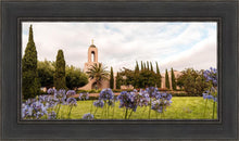 Load image into Gallery viewer, Newport Beach California Blooming Afternoon
