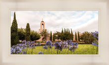 Load image into Gallery viewer, Newport Beach California Blooming Afternoon
