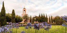 Load image into Gallery viewer, Newport Beach California Blooming Afternoon
