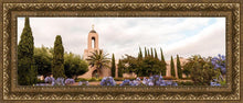 Load image into Gallery viewer, Newport Beach California Blooming Afternoon

