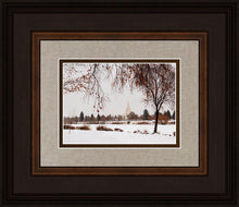 Load image into Gallery viewer, Fall After the Storm
