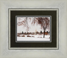 Load image into Gallery viewer, Fall After the Storm

