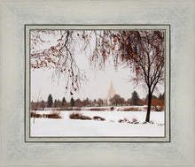 Load image into Gallery viewer, Fall After the Storm
