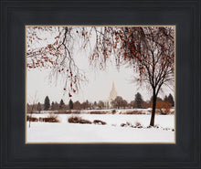 Load image into Gallery viewer, Fall After the Storm
