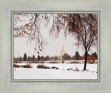 Load image into Gallery viewer, Fall After the Storm

