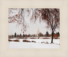Load image into Gallery viewer, Fall After the Storm
