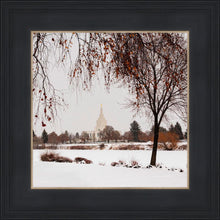 Load image into Gallery viewer, Fall After the Storm
