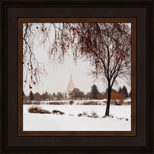 Load image into Gallery viewer, Fall After the Storm
