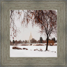 Load image into Gallery viewer, Fall After the Storm
