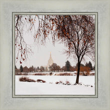 Load image into Gallery viewer, Fall After the Storm
