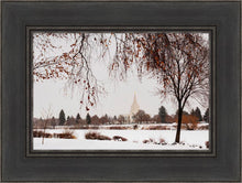 Load image into Gallery viewer, Fall After the Storm
