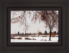 Load image into Gallery viewer, Fall After the Storm
