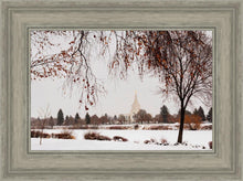 Load image into Gallery viewer, Fall After the Storm
