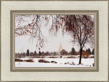 Load image into Gallery viewer, Fall After the Storm
