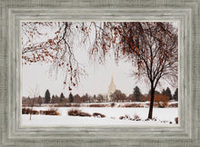 Load image into Gallery viewer, Fall After the Storm
