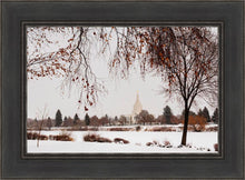 Load image into Gallery viewer, Fall After the Storm
