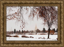 Load image into Gallery viewer, Fall After the Storm
