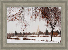 Load image into Gallery viewer, Fall After the Storm
