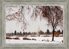 Load image into Gallery viewer, Fall After the Storm
