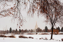 Load image into Gallery viewer, Fall After the Storm
