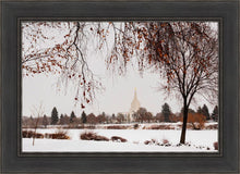 Load image into Gallery viewer, Fall After the Storm
