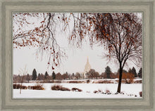 Load image into Gallery viewer, Fall After the Storm

