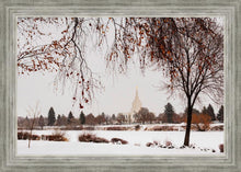 Load image into Gallery viewer, Fall After the Storm
