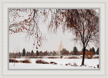 Load image into Gallery viewer, Fall After the Storm
